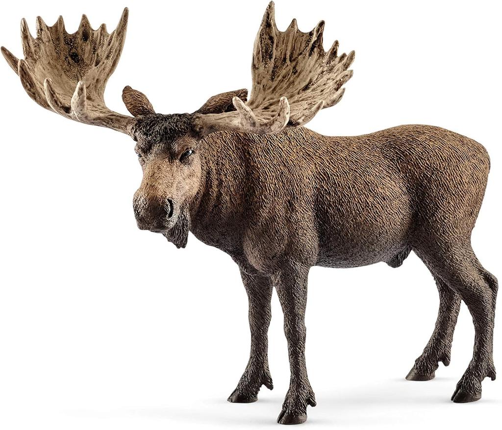 Schleich Wildlife Elk Figure 14781 (Male)