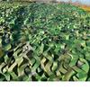 Churing Outdoor Camouflage Sunshade Net