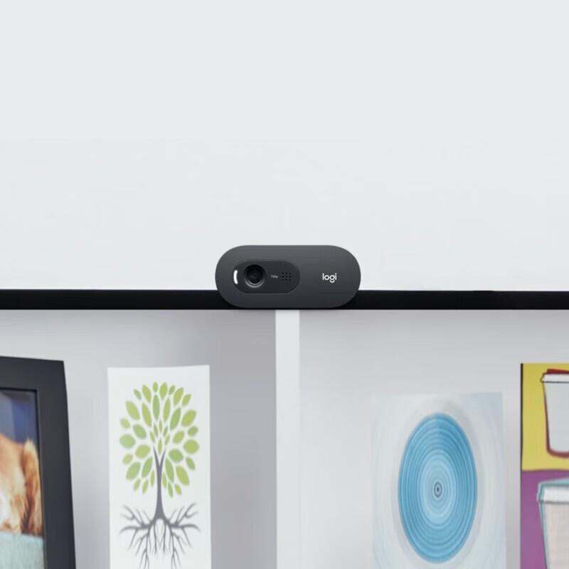 Logitech C505e HD Webcam