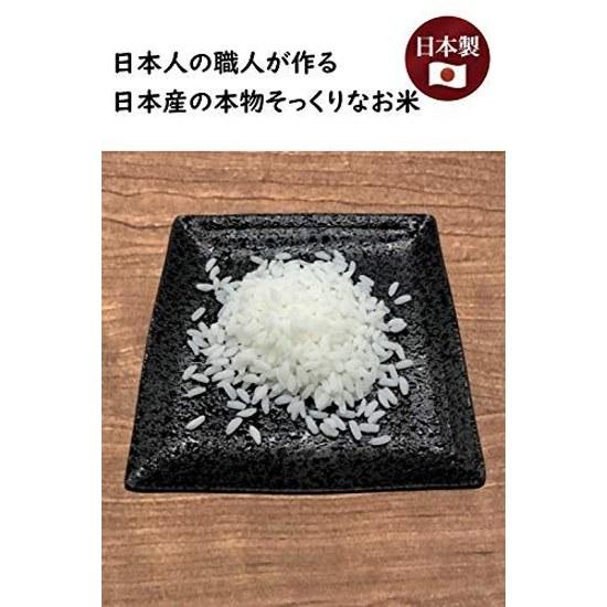 Food Sample Materials Made Japan Rice Natural White Standard 200g Toy Shop Yamato Spirit.