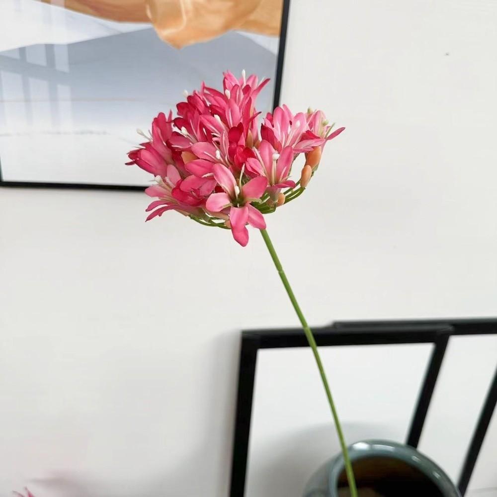 Long Branch Agapanthus Flowers Branch Fake Artificial Flower Fake Lotus Flower Table Accessories
