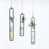 Thickened Hanging Glass Planter Wall Hanging Glass Vase Creative Test Tube Vases  Home Decoration
