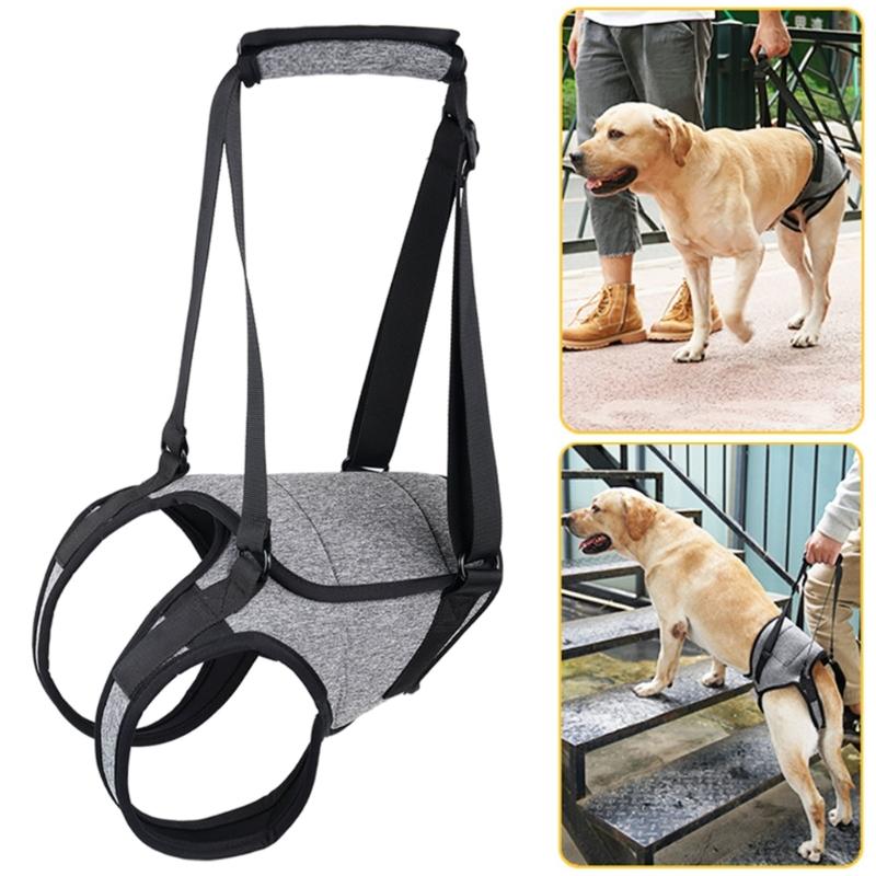 Convenient Dog Sling for Medium Large Dogs Back Support Dog Lift Harness for Injured Elderly Dogs Disabled Pet Supplies