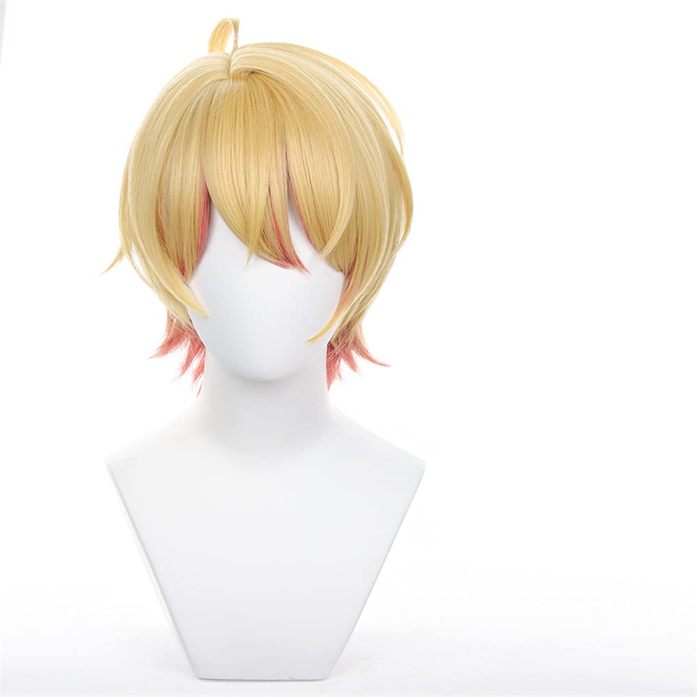 iirukaa Oshi no Ko Hoshino Aqua Wig, Heat Resistant, Perfect for Photography, 2D Goods, Events, Cosplay, Halloween, and Disguise