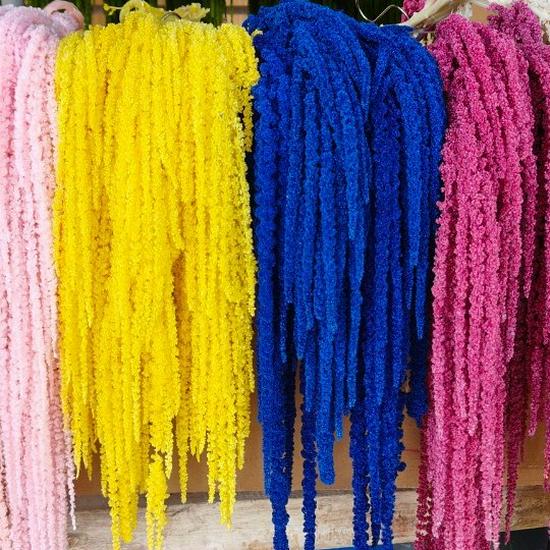Hanging Rice Dried Preserved Flowers Wedding Decor 'Lover's Tears'