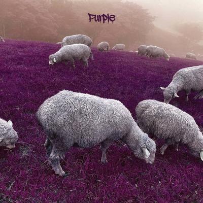 Attention 24 (Attention 24) - Purple