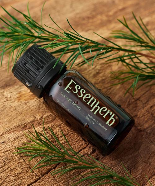 essenHERB Tea Tree 100 Oil 10ml x 2EA