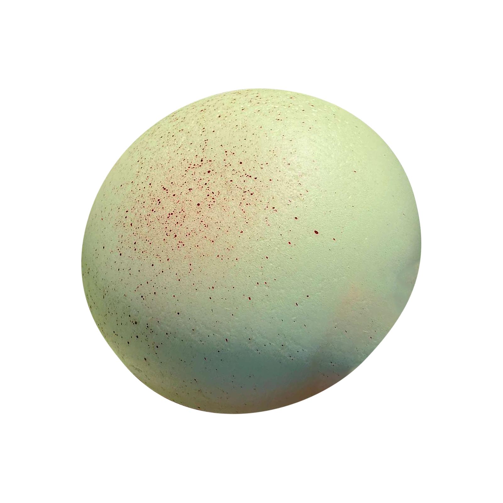 Artificial Dinosaur Egg Replica Realistic Simulation Model for Educational Display and Science Projects Classroom Collection One Size зелёный