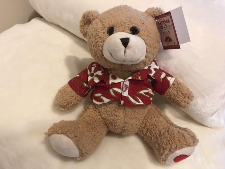 

[USED] teddy bear plush toy