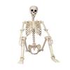 Scheletro Umano Completo per Halloween, Ossa Craniche Realistiche per Casa Infestata, Decorazioni Spaventose per Feste