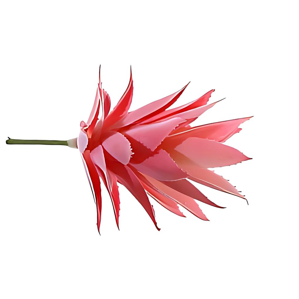 

Штучна рослина з АБС, нетоксична та екологічно чиста для безпечного навколишнього середовища Штучні сукуленти