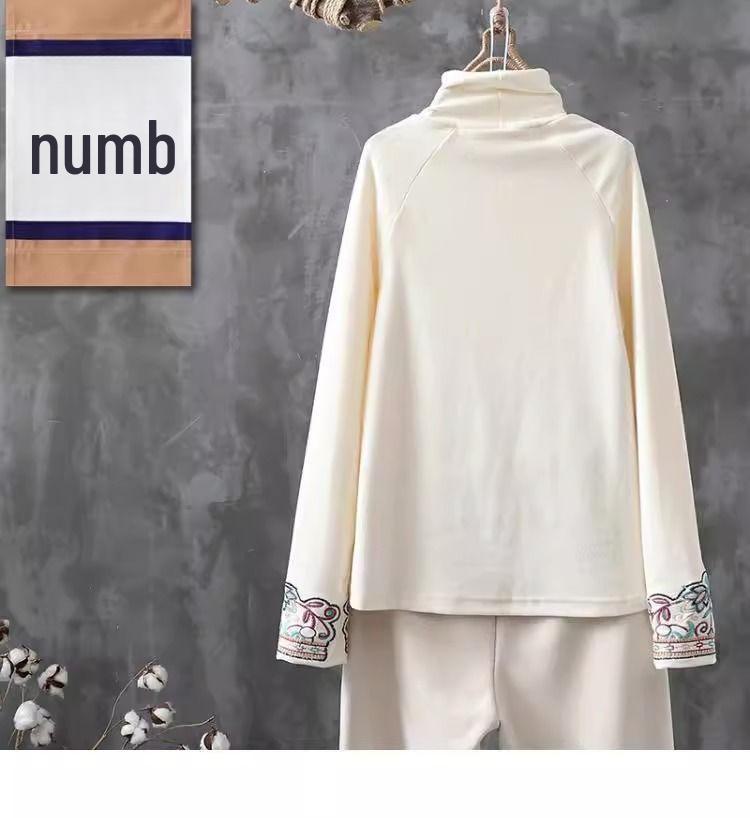 2024 Double-Sided German Velvet Bottoming Shirt: Retro Half-High Collar, Literary Ethnic Style for Spring and Autumn