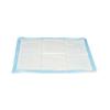 Puppy Training Pad 60 X 60 Cm Blue White Paper Polyethylene (10 Units)