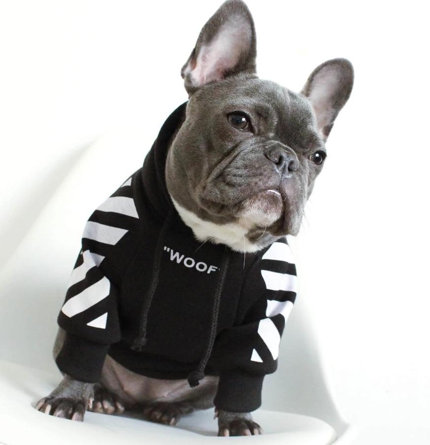 Trendy Corgi Schnauzer French Bulldog Hoodie: Autumn/Winter Sporty Pet Apparel