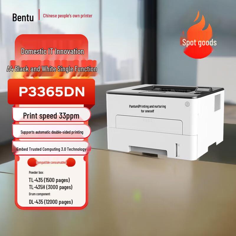 Pantum A4 Laser Printers CN plug (adapter included)