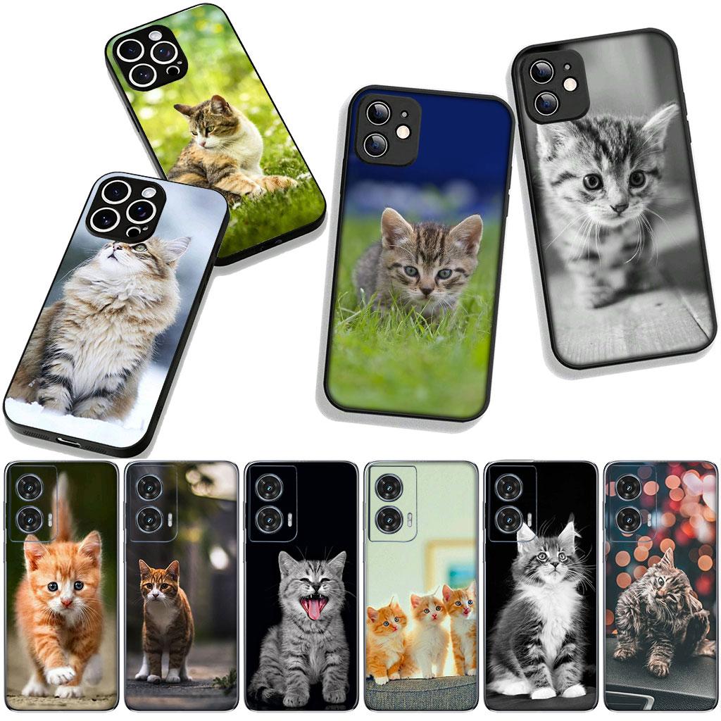 Funny Kitten Cat Phone Cover Case for Xiaomi Redmi Note 15 11 9 10 Pro Plus A5 9A 9T 10A 10C 9C NFC 15C 8T Casing