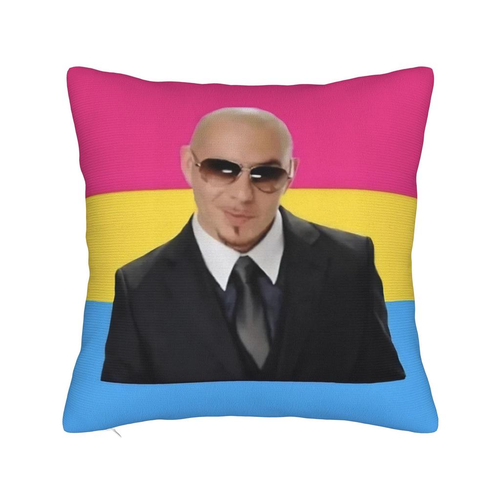 Decorative Pillowcase Singer Pitbull Tour Stuff Bed Throw Pillow Case Cover Square Style Multiple Sizes