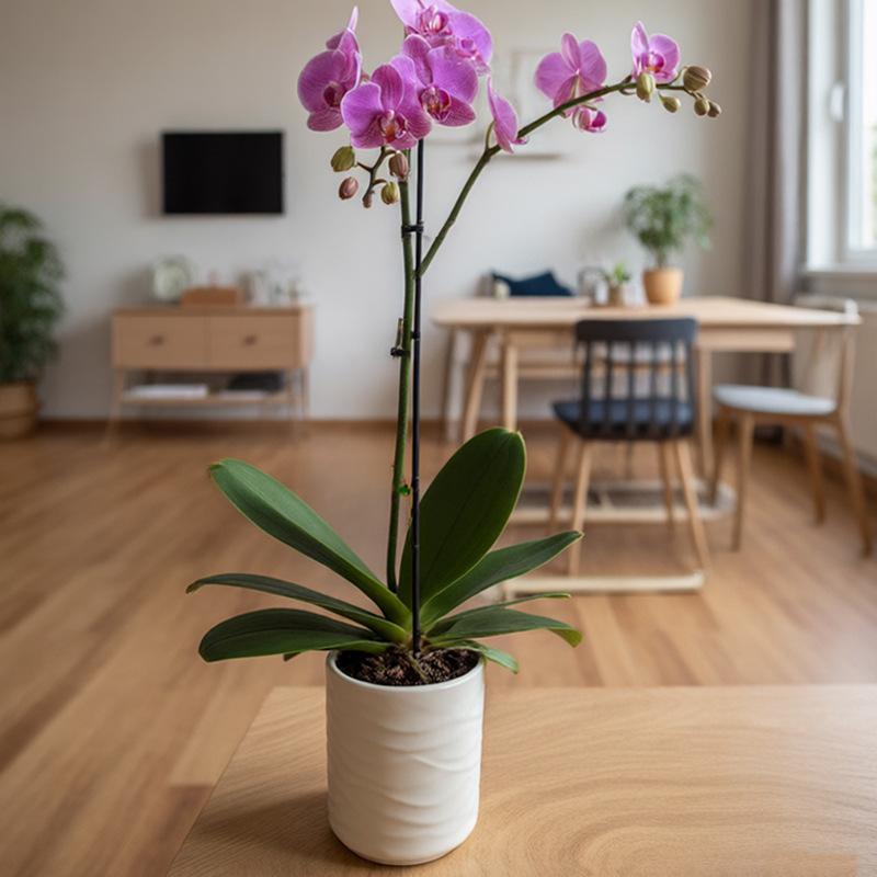 Simple Wave Shaped Faux Ceramic-look Flowerpots Are Suitable For Home Décor Orchids And Other Green Plants one size