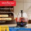 Jin Zao A-16 Golden 1L Tea Brewer & Health Pot with Spray Steam Function