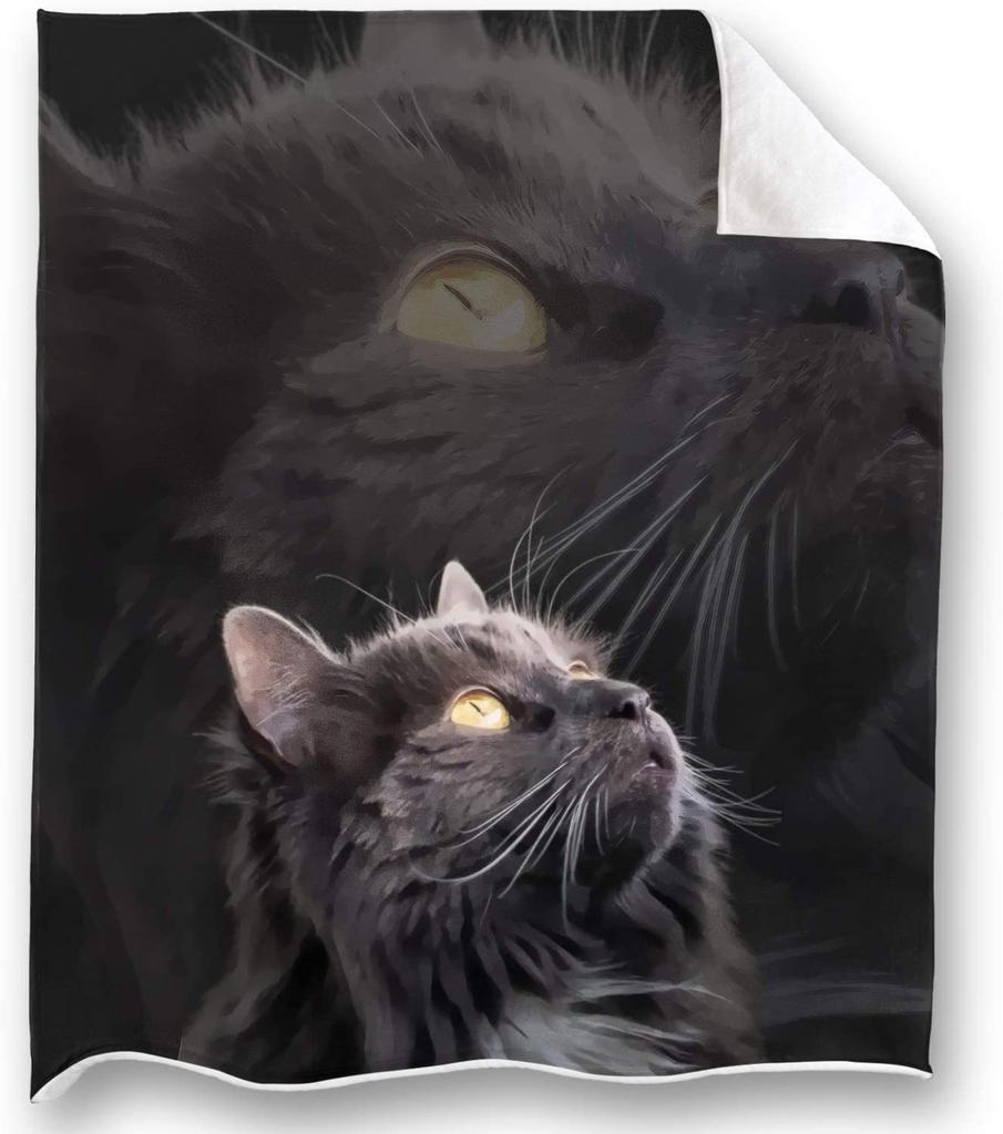 Cat Blanket Cute Cat Decor Animal Throw Blanket Cat Gifts for Cat Lovers Girls Boys Super Warm Soft Lightweight Flannel Blanket