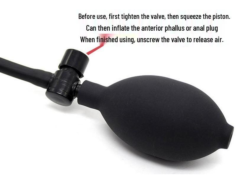 Inflatable Expanding Butt Plug and Penis Masturbator for Women - Anal Dilator and Expander Sex Toy