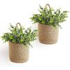 Dahey 2 Pack Wall Hanging Rope Basket with Artificial Eucalyptus Farmhouse Decor, Jute Woven Storage Organizer Flower Plants Basket Set Rustic Wall