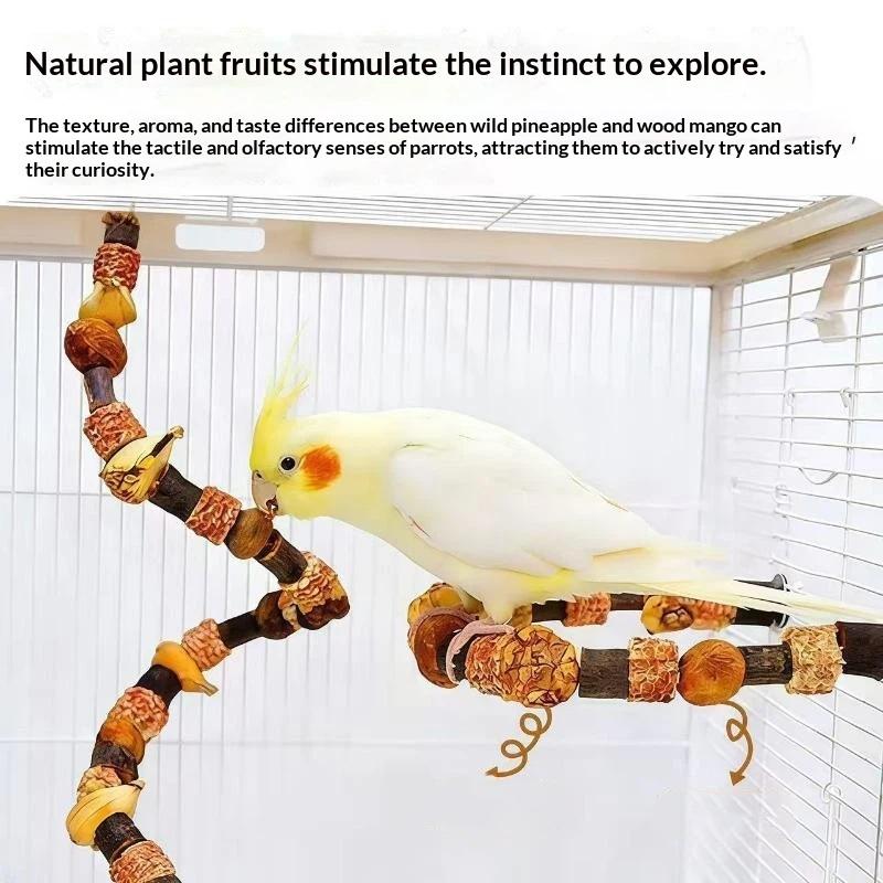 Hamster Toy Hamster Golden Bear Foraging Gnawing Grinding Teeth Wooden Bite String Snack Box Hamster Landscaping Supplies
