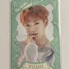 NCT Wish You Shipo