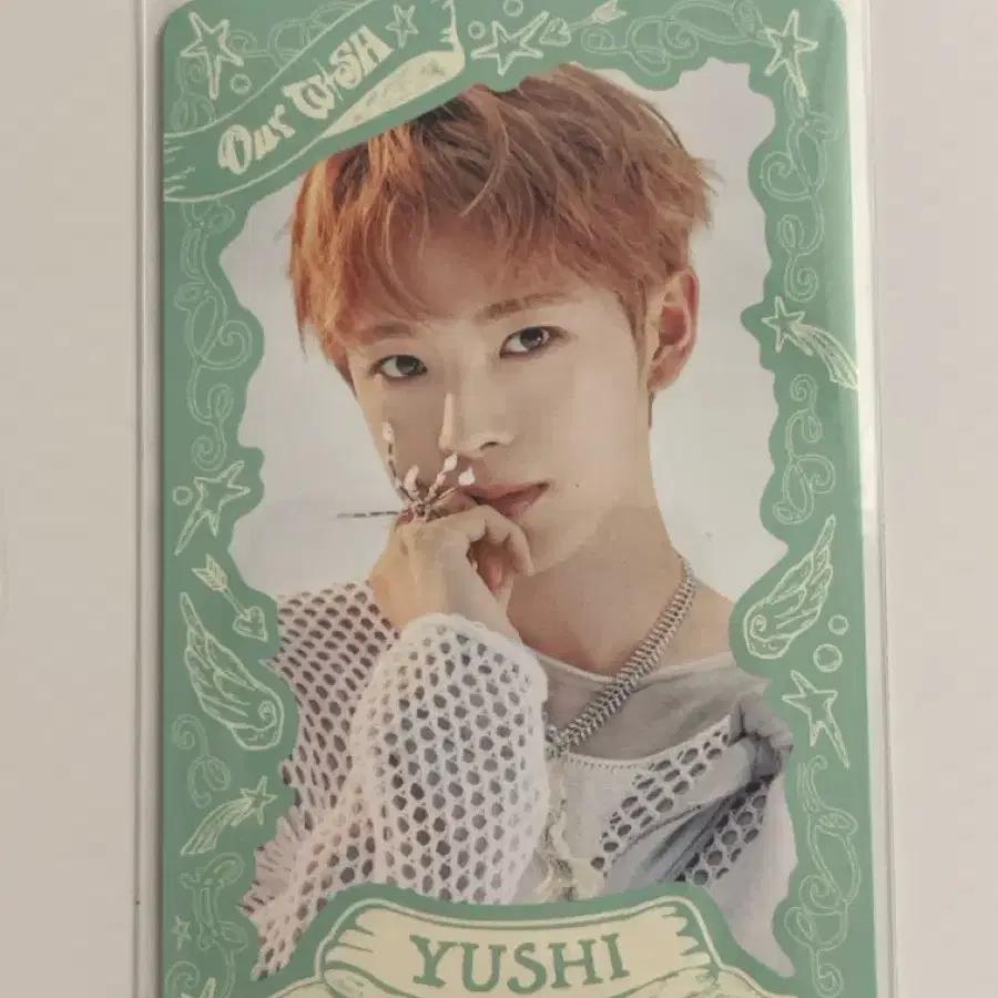 NCT Wish You Shipo