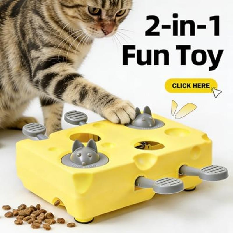 Dtaigou Interactive Cat Toy - Slow Feeder Puzzle Game, Treat Dispenser, Mental Stimulation Enrichment for Kittens, Puppies, Indoor Pets