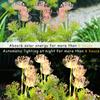 Solar Garden Flowers Lights Garden Decoration Yard Decor with Glowing Flowers & Stem Outdoor Lights Stake Lamp Lawn Lights