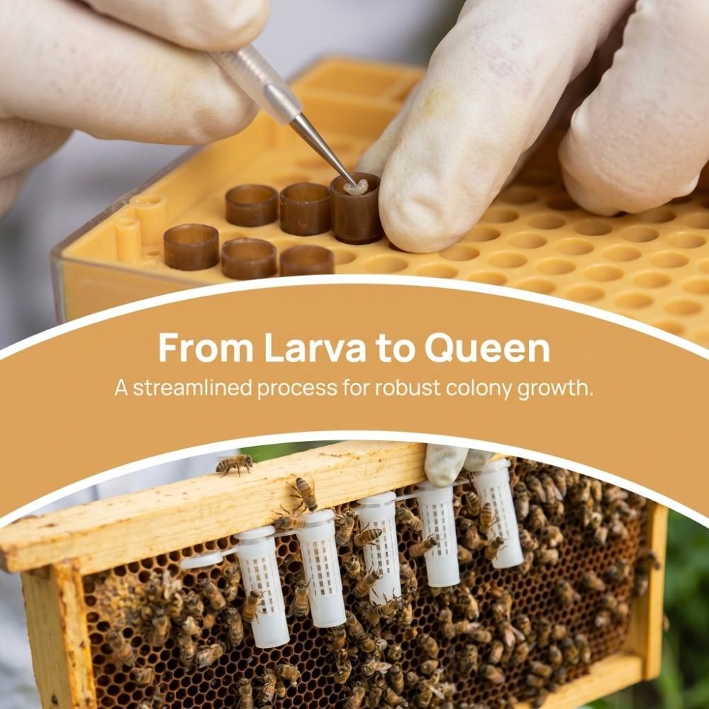 130 Pcs Set Durable Queen Bee Rearing Grafting Kit Plastic Beekeeping Queen Rearing Box  Beekeepers