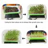 Portable Waterproof Seedling Heat Mats 3 Heat Level USB Powered for Indoor Plant and Reptiles Habitat Maintenance
