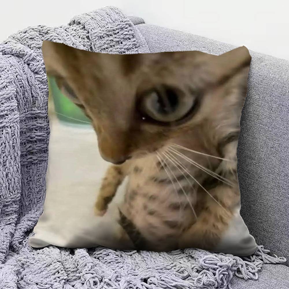 Funny Cat MMeMe Pillow Covers Home Sofa Cushion Covers and Aecorative Custom