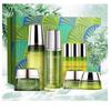 Cedarwood Anti-Aging Skincare Gift Set
