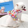 Imbracatura Regolabile per Animali Domestici con Guinzaglio per Cani Piccoli Gatti Attrezzatura per Passeggio Teddy Bichon