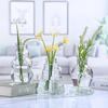Creative Glass Vase for Flower Arrangements and Home Decor - Ideal for Dried Flowers, Desktop Display, and Hydroponic Plants