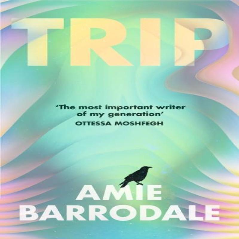 Trip by Amie Barrodale Hardback Book 9781787335936