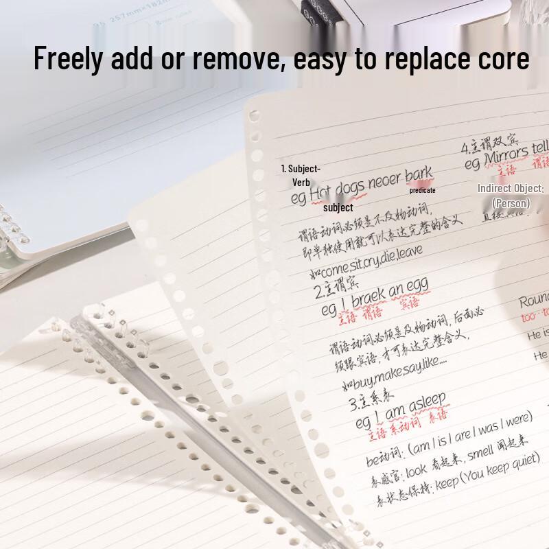 Deli B5 Loose-leaf Subject Notebook, 50 Sheets