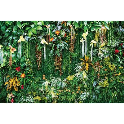 MOON.QG Tropical Leaves Backdrops Spring Garden Backgrounds Green Grass Photo Wall Customized Name Birthday Wedding Photocall