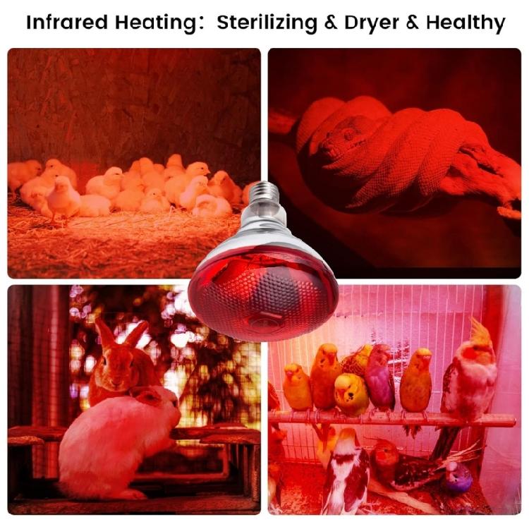 2pcs 250W Heat Lamp Red Light for Piglets Baby Chicken and Small Animals with E26 Base