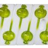 3pcs Plant Watering Globes Device Pomegranate Self Watering Planter Insert Automatic Water Irrigation Device for Indoor
