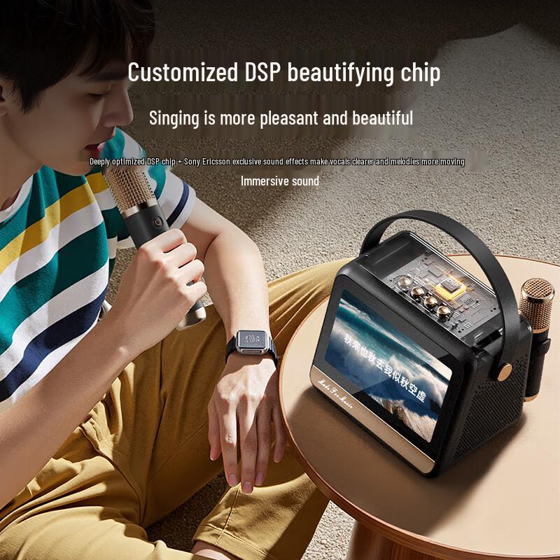 Soaiy GC520Pro KTV Karaoke Microphone Speaker