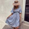 2025 New Summer Fresh and Sweet Wind Print V-neck Blue Dress