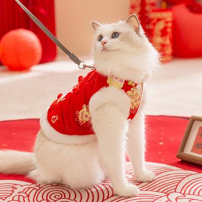 New Year's Cotton-padded Clothes, Cat Clothes, Festive Chinese New Year, Warm New Year's Greetings, Two-legged Clothes, Teddy Than a Bear,