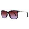 Suzy Levian Women S Purple tortoiSe Square lenS Silver Accent SunglaSSeS Purple