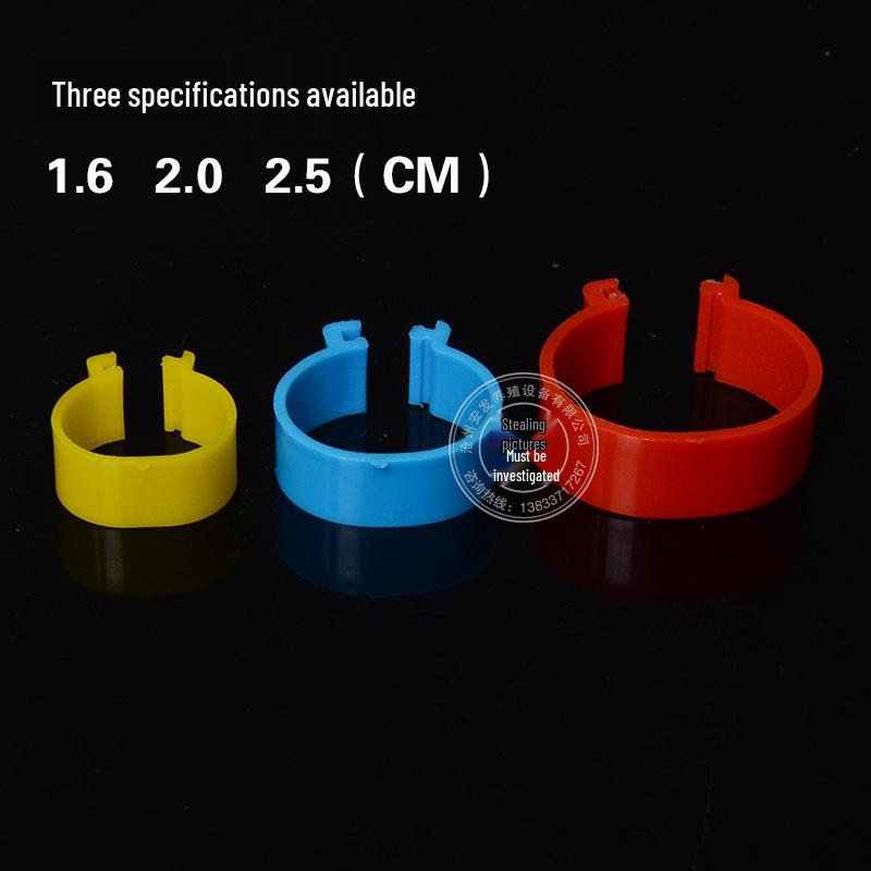 Poultry Leg Rings for Chicken, Duck, Goose - Rare Breeding Buckle Design