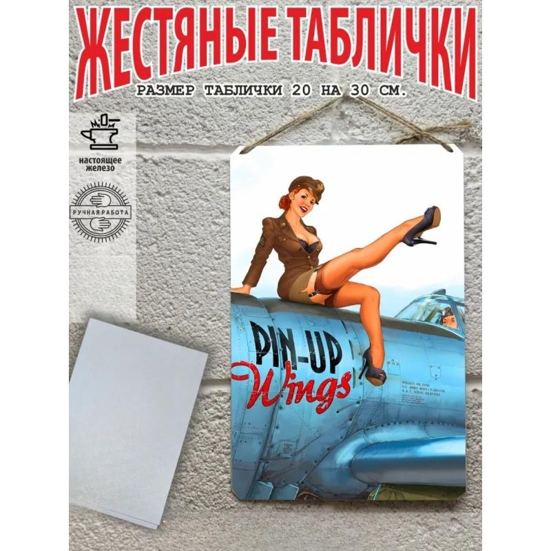 Pin-Up Girls Tin Sign, Retro Metal Wall Art Poster 30