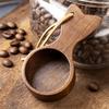 Short Handle Coffee Bean Scoop Walnut Wood Compacts Design For Precise Coffee Grounds Measuring Kitchen Tool Utensils