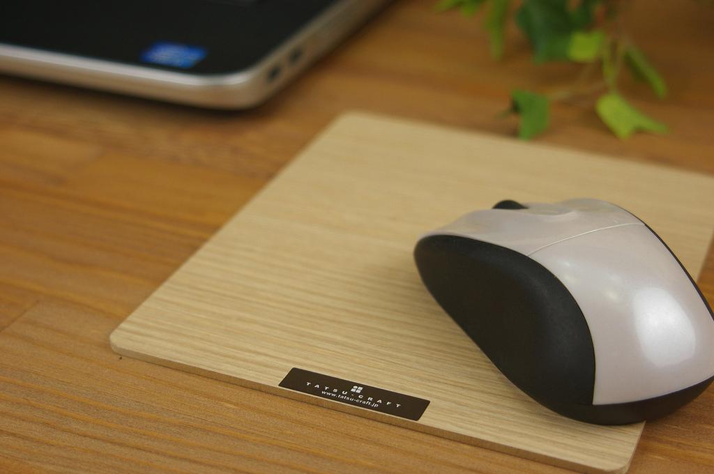 Tatsunosuke Hashimoto Crafts Bask Mouse Pad S Mouse Brown "Bosk Pad"